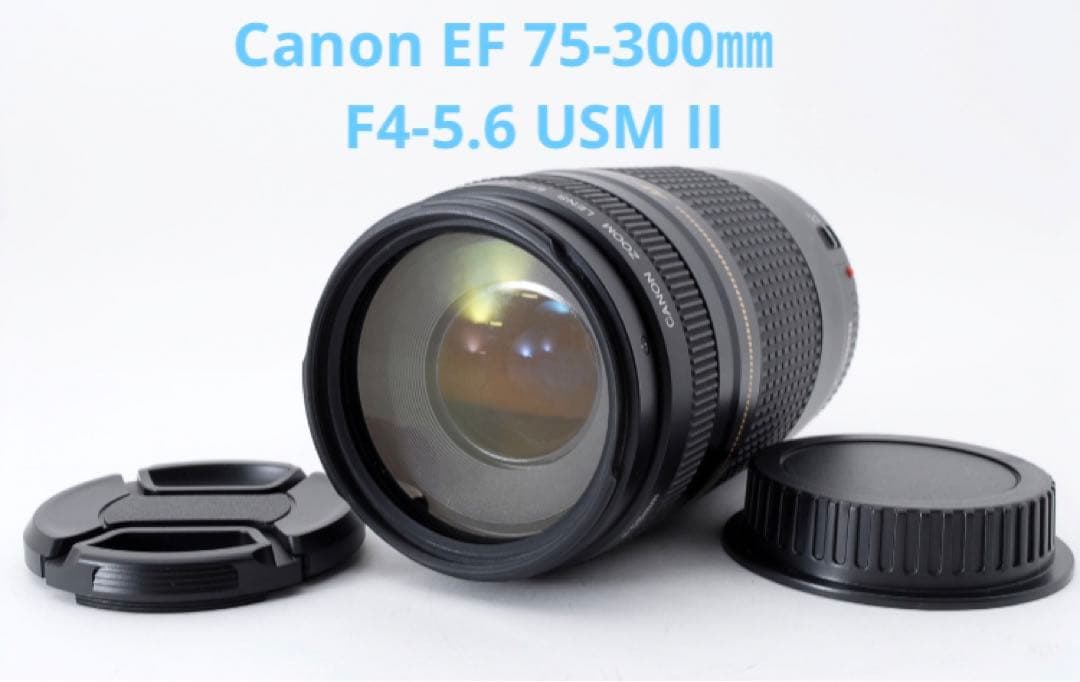 望遠レンズ　Canon EF 75-300mm F4-5.6 USM II