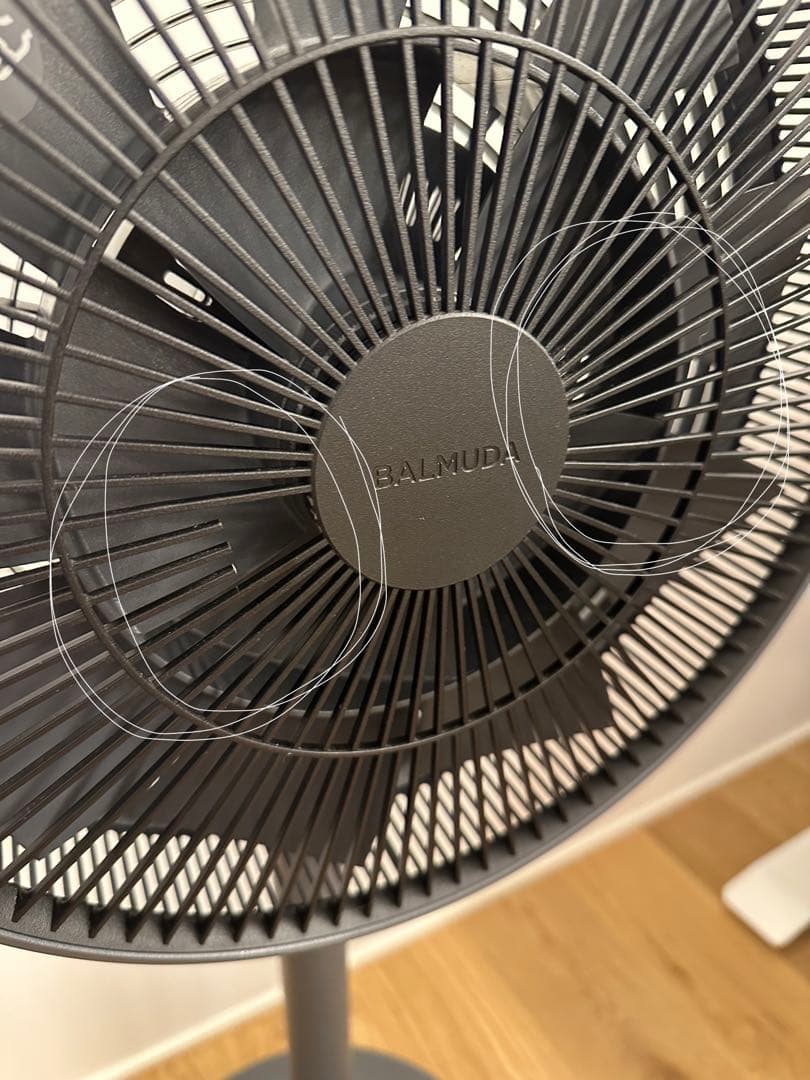 バルミューダ グリーンファンEGF-1600-DK＋ EGF-P100 ブラック