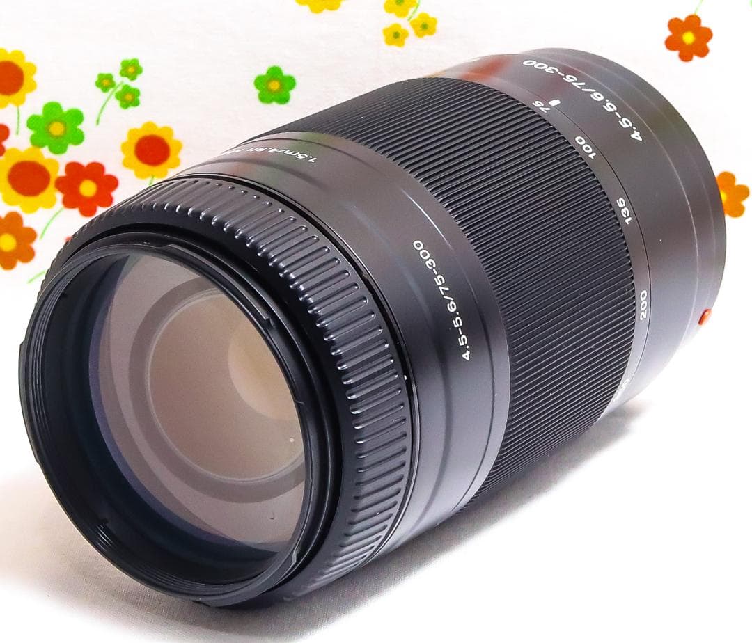 ソニー SONY AF 75-300mm☆ aマウント用☆マウントアダプター付