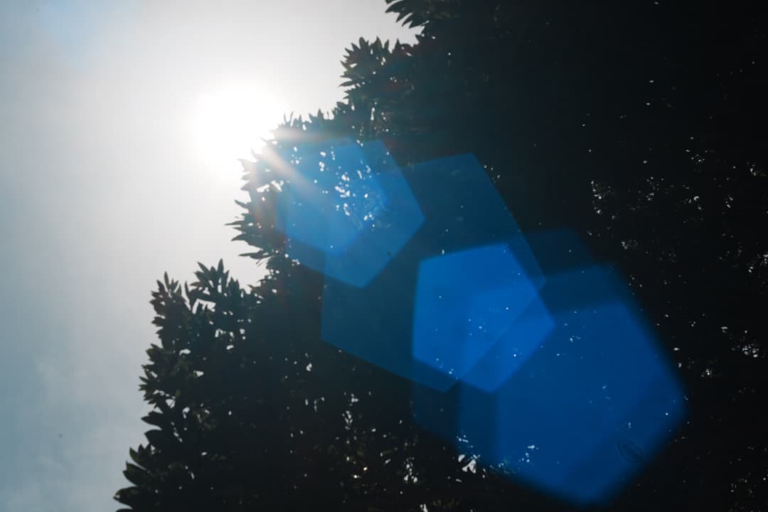 【希少一部金属】動作◎ FUJINON 55mm F2.2 817 バブルボケ