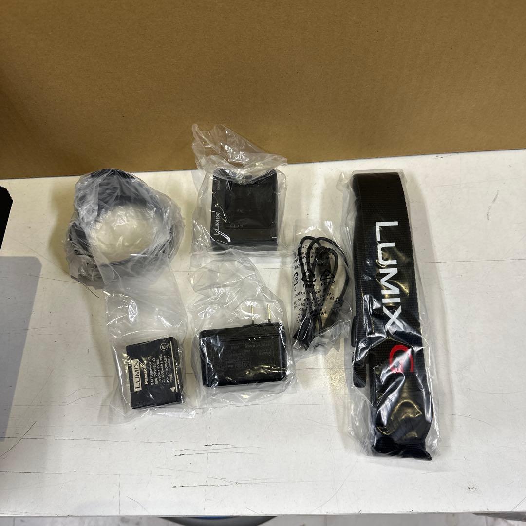 パナソニックLUMIXミラーレスカメラDC-G99H