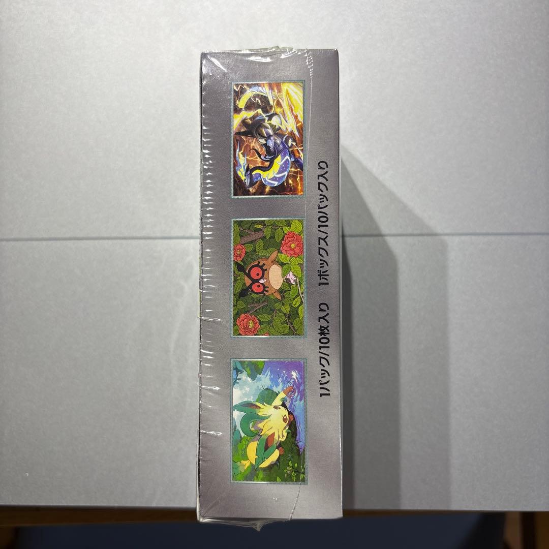 ポケモンカードゲーム テラスタルフェスex 1BOX未開封