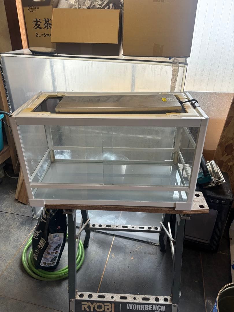 パンテオン6035 ダントツ付き