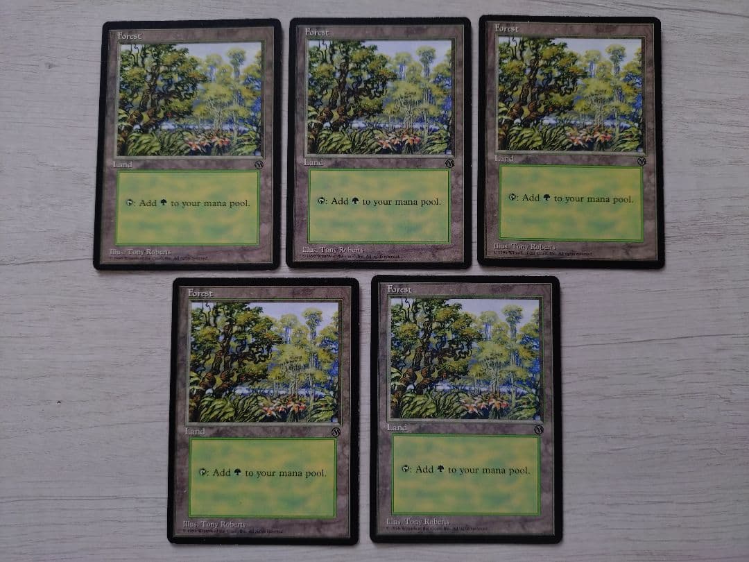 森 (英) 5枚 初代アリーナランド