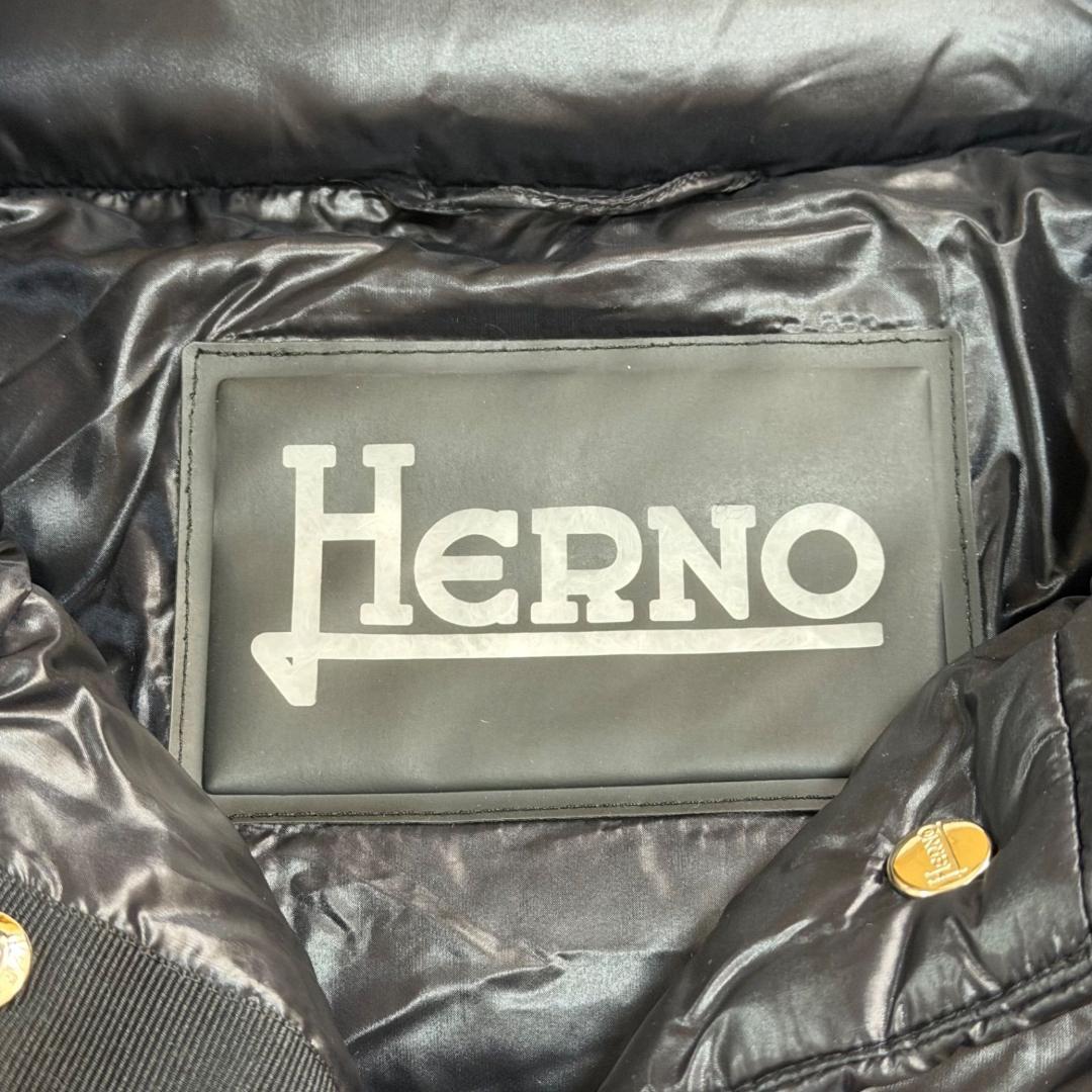 17530✨ヘルノ モノグラム ウルトラライトダウンジャケット 38 ブラック