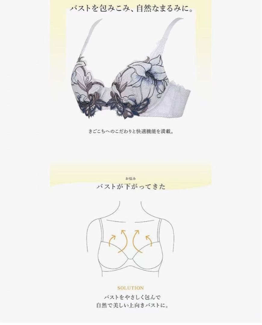 ワコール／ラゼ 大輪のカサブランカが優雅に咲き誇るブラジャーショーツE85-LL