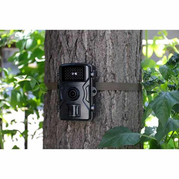 特別価格　新品未使用　6台　赤外線無人撮影カメラ