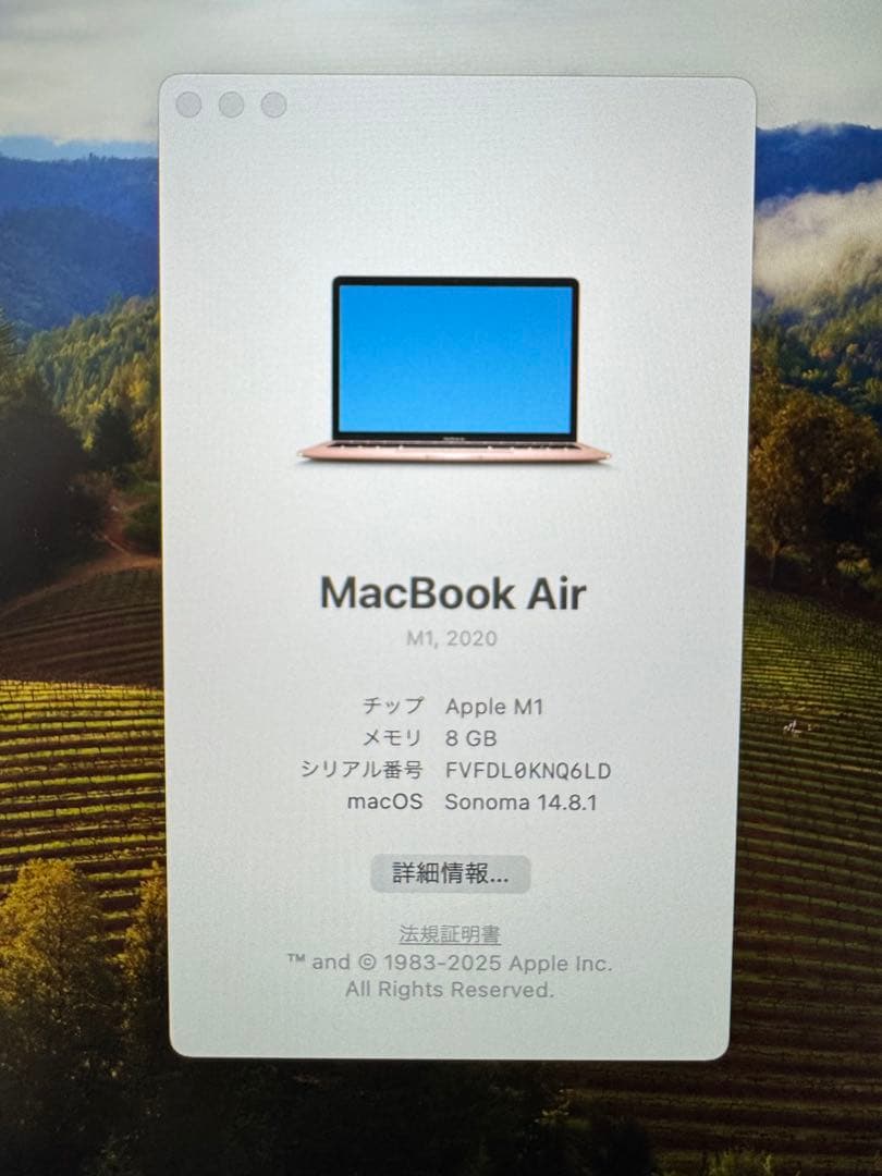 アップル Apple MacBook Air M1 512GB/8GB ゴールド