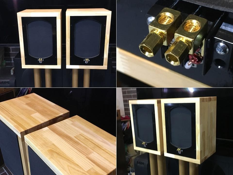 チェコ TESLA 20cmフルレンジARO511 シングルフルレンジの最高峰