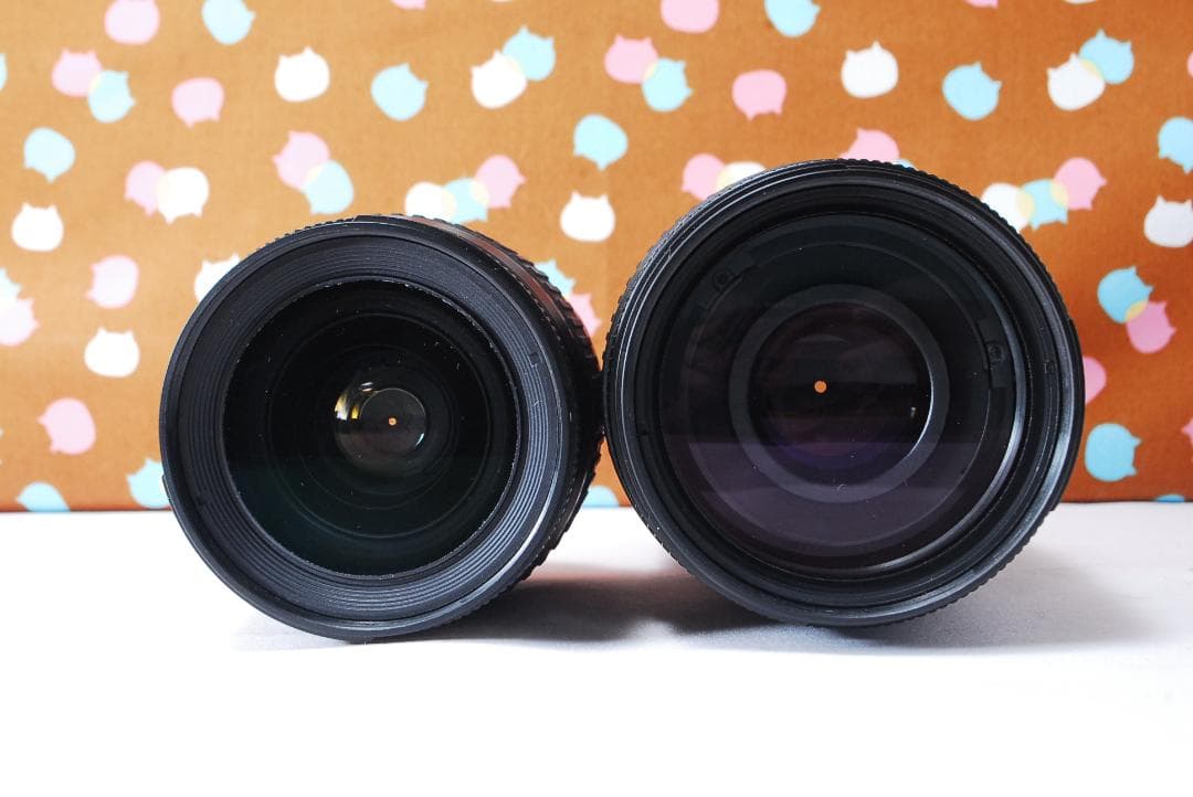 ✨初心者オススメ✨ショット数6395回✨Nikon D80 ダブルレンズセット