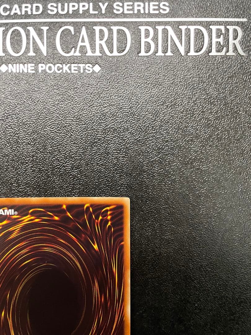 【貴重】 ナチュルパルキオン　dtc シークレット