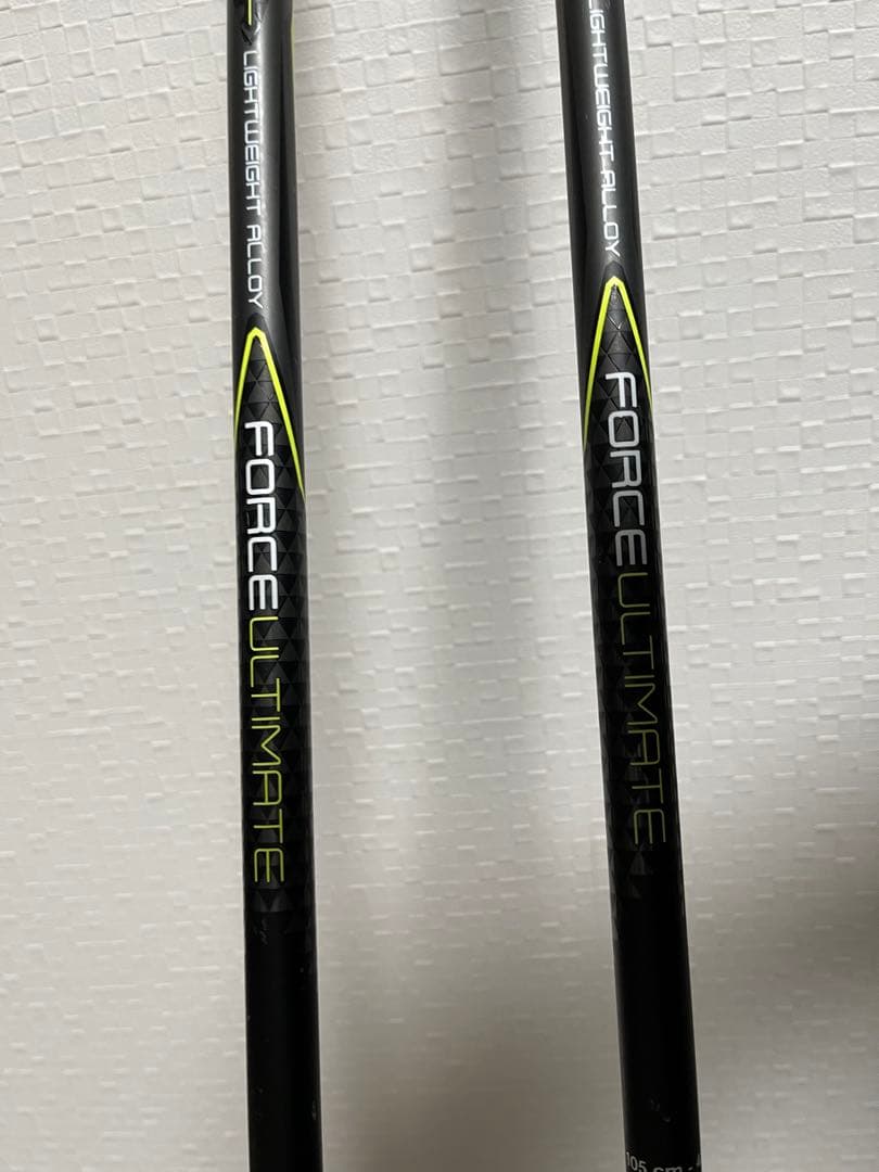 Salomon X-PRO　POWERLINEスキー板、LEKI ストック付き