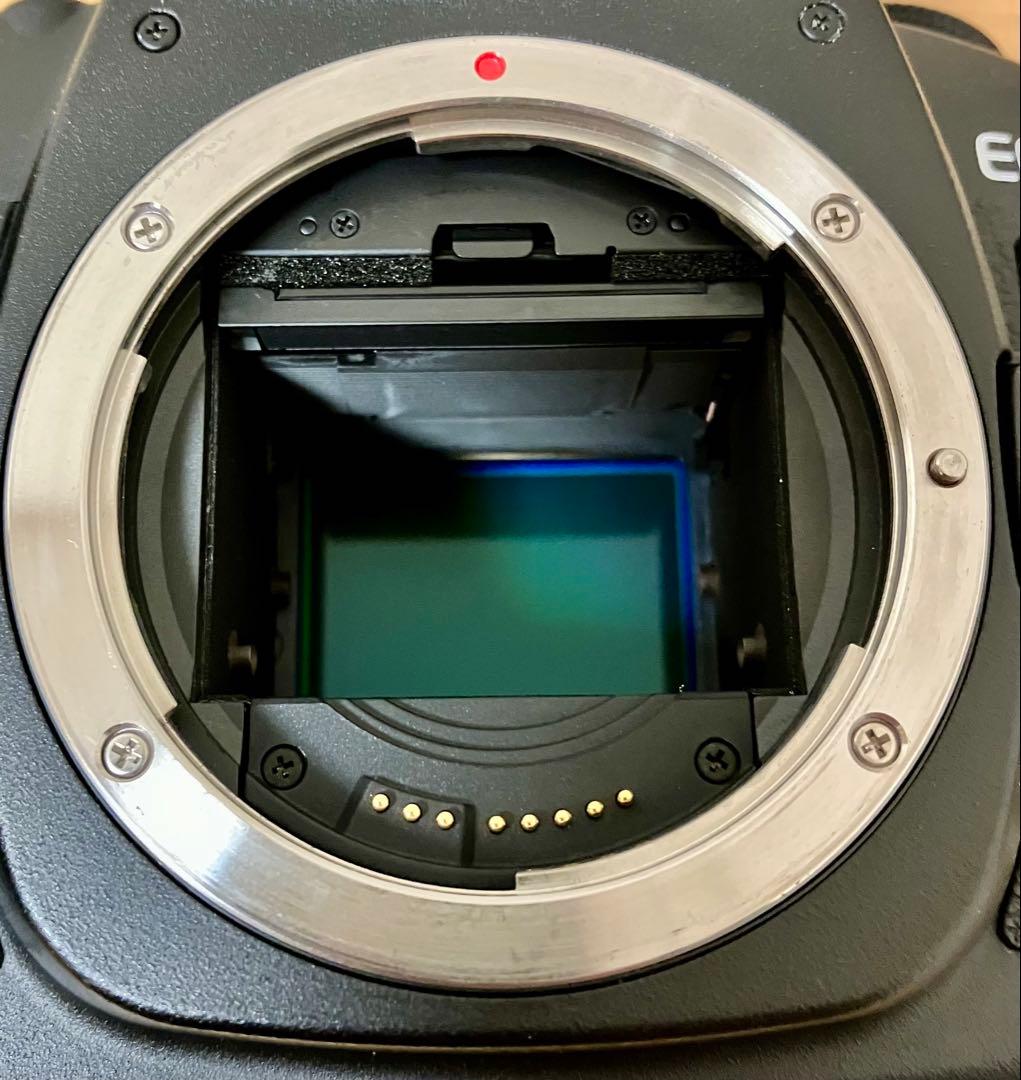キャノン EOS 5D markⅡ ボディ