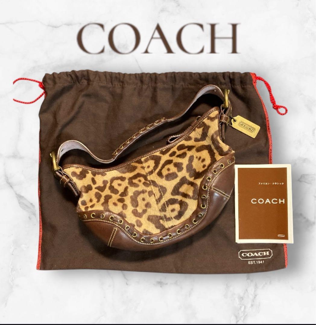 【極美品・希少】COACH コーチ ハラコ レオパード ショルダーバッグ