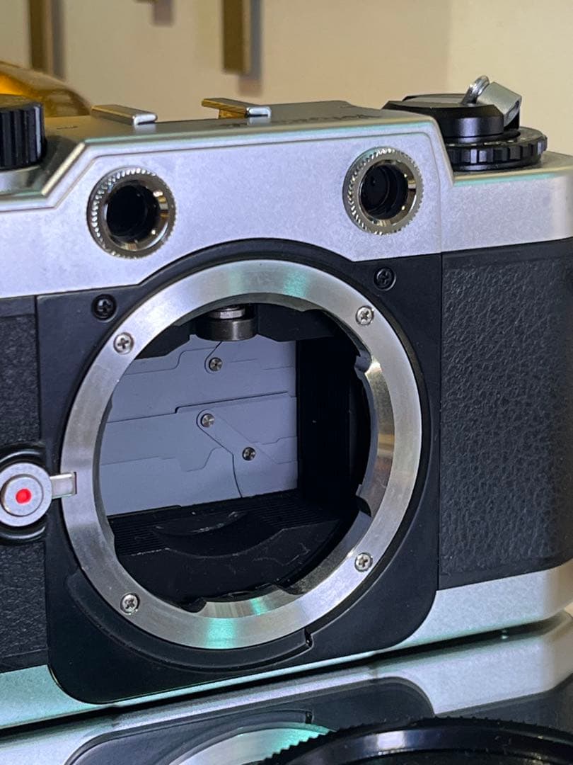 Voigtländer BESSA-T フォクトレンダー ボディのみ