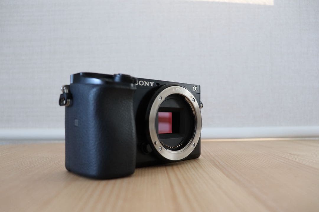 【SONY】 デジタル一眼カメラ α6100 ダブルズームレンズキット