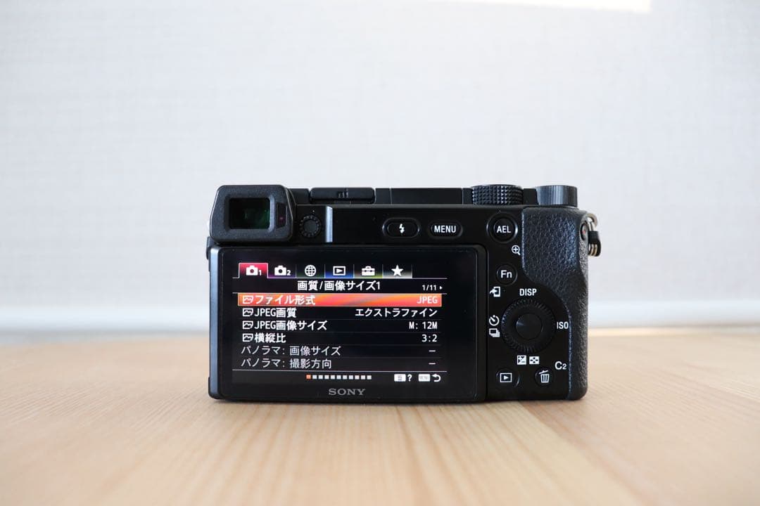 【SONY】 デジタル一眼カメラ α6100 ダブルズームレンズキット