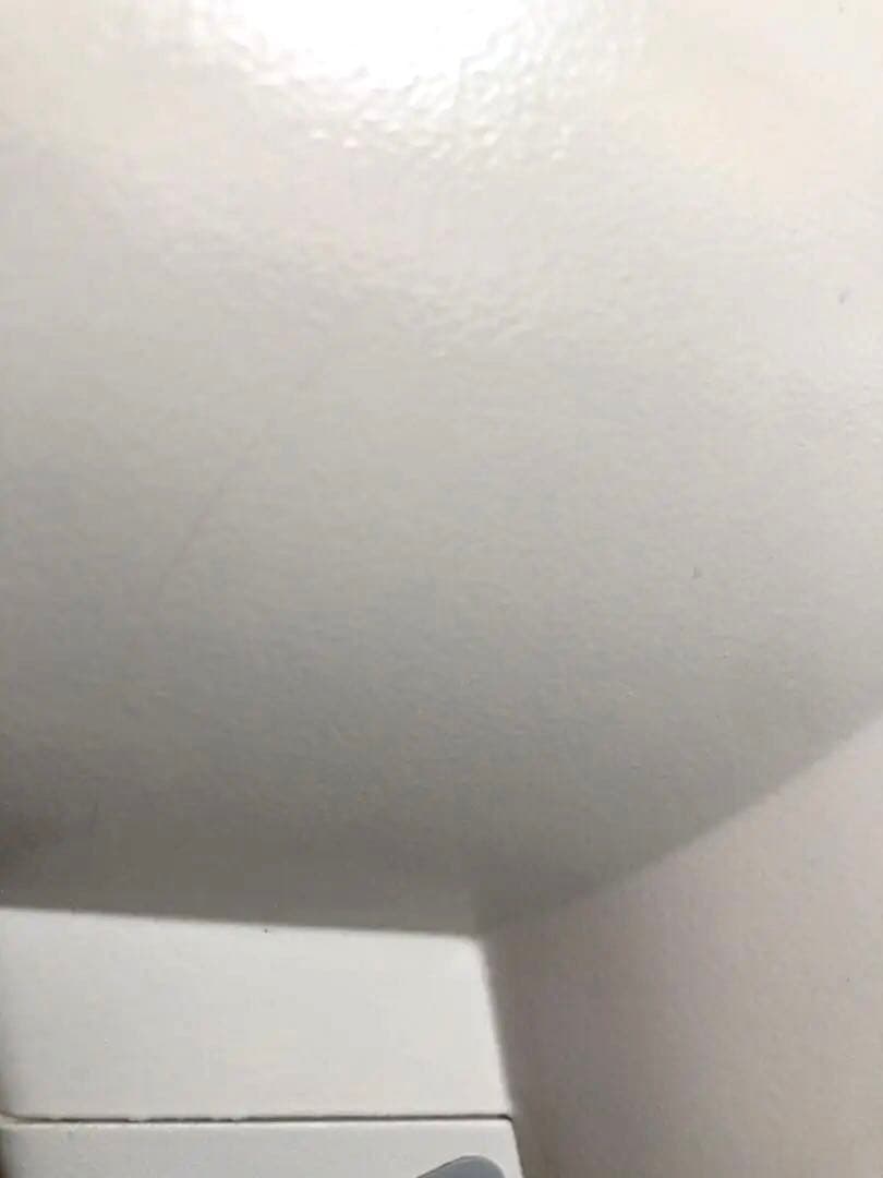 バイオプトロン2