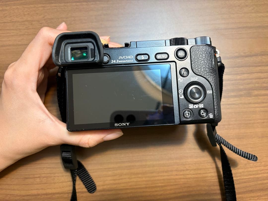 SONY α6000（ILCE-6000）＋ 標準ズームレンズ SELP1650