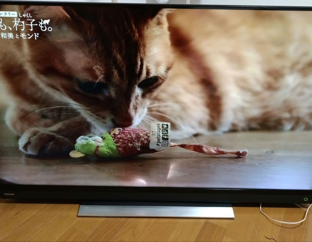 ジャンク品TOSHIBA 50BM620X 液晶テレビ 50インチ