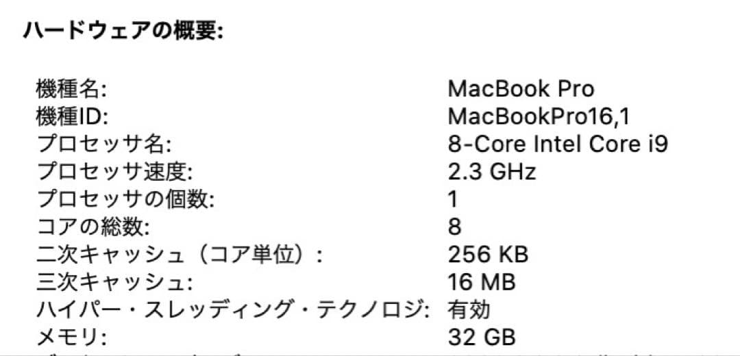 MacBook本体 MacBook Pro 16-inch 2019 i9 32GB 1TB