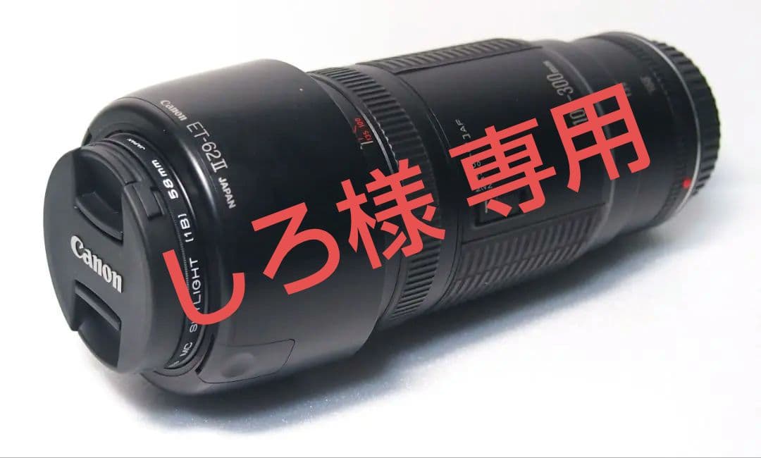 レンズ(ズーム) Canon EF100-300mm F5.6L