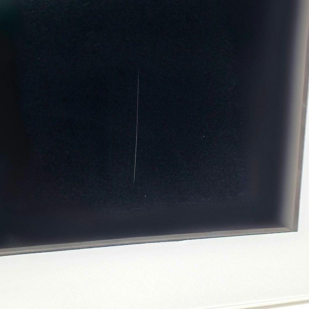 11.6V型 チューナーレス ネット動画専用 防水モニター ポタモニ ドンキ