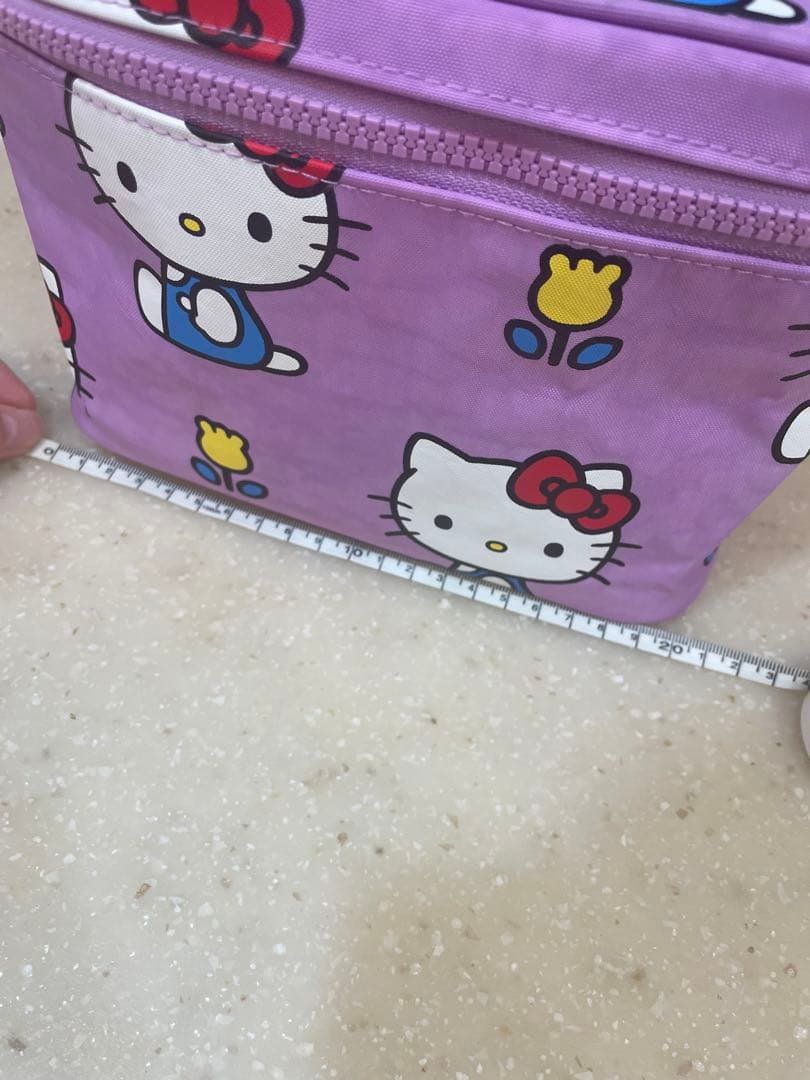 【日本未入荷】ハローキティ BAGGUバニティポーチ　サンリオ