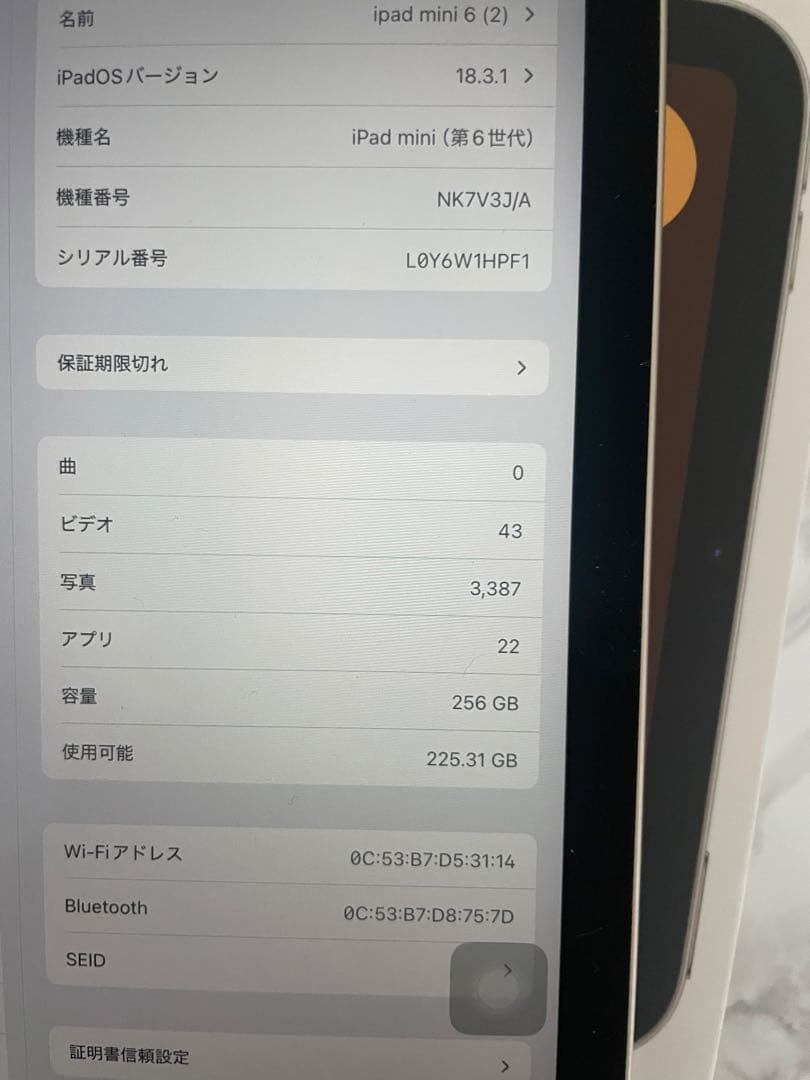 Apple iPad mini 6 スターライト 256GB 本体