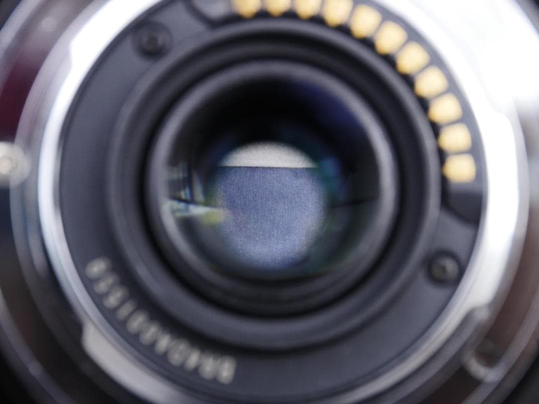 LUMIX G VARIO 14-140mm F3.5-5.6 Ⅱ ASPH.