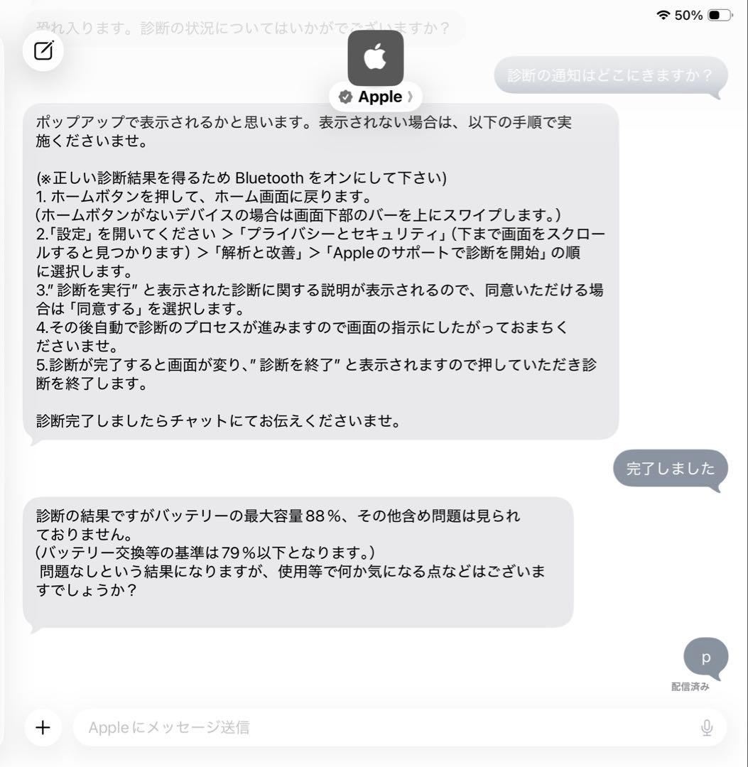 iPad第10世代 256GB ブルー おまけ多数　87%