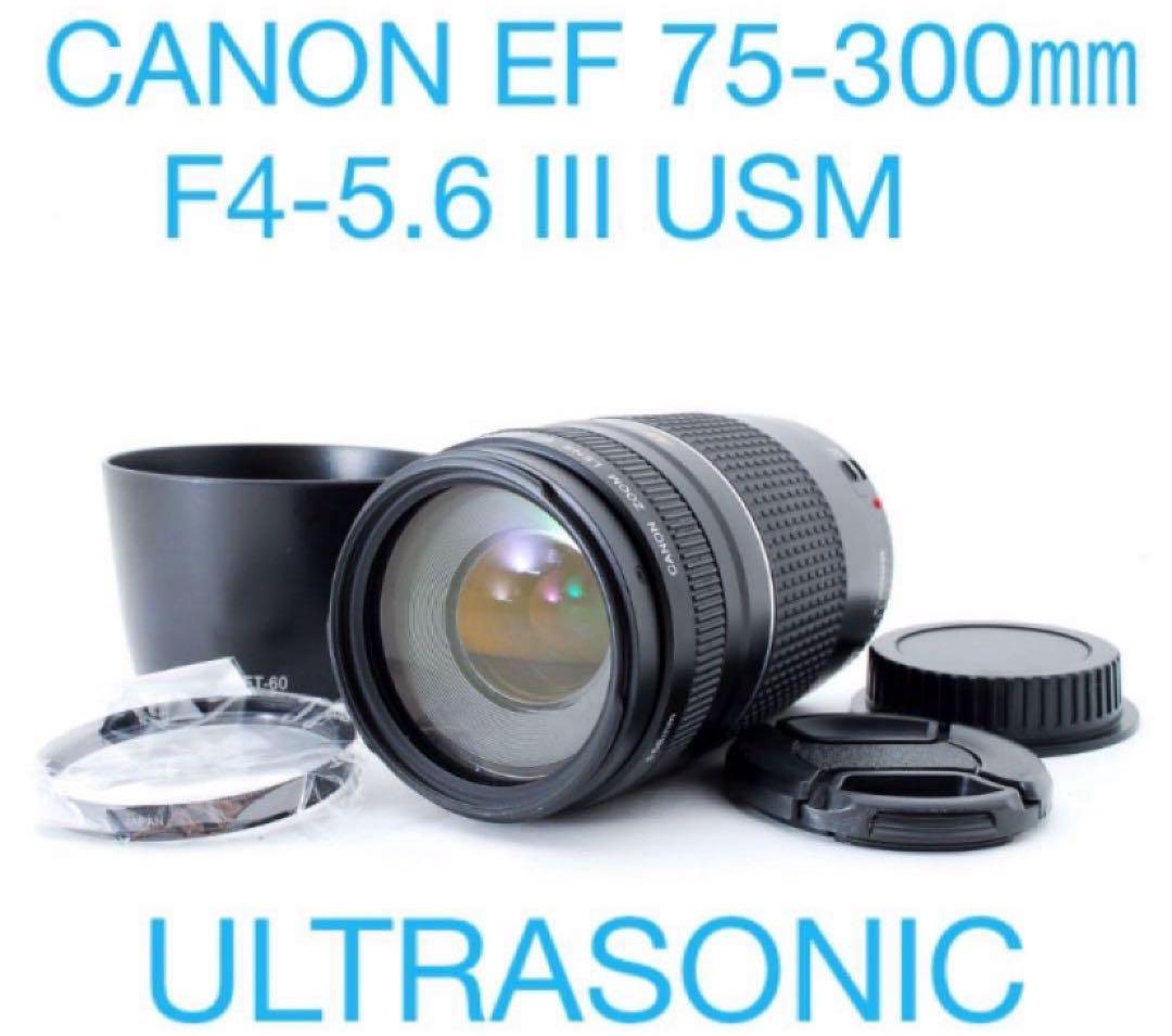 スポーツ観戦/キャノン/Canon EF 75-300㎜F4-5.6 III