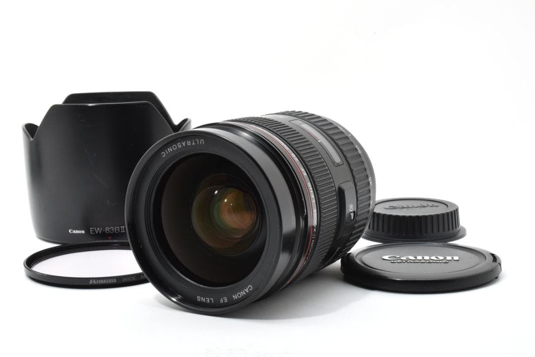 キャノン　Canon EF 28-70mm F2.8 L 1440