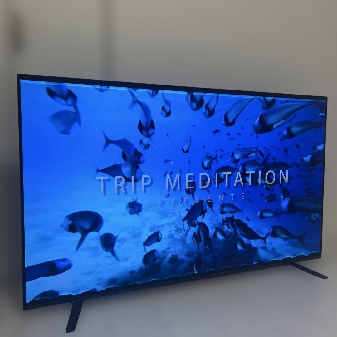 SONY KJ-55A8H 有機EL4Kテレビ 55インチ　訳あり