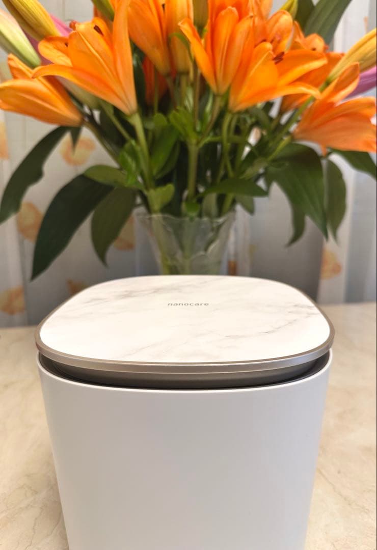 【新品未使用】Panasonic スチーマー ナノケア EH-SA0B