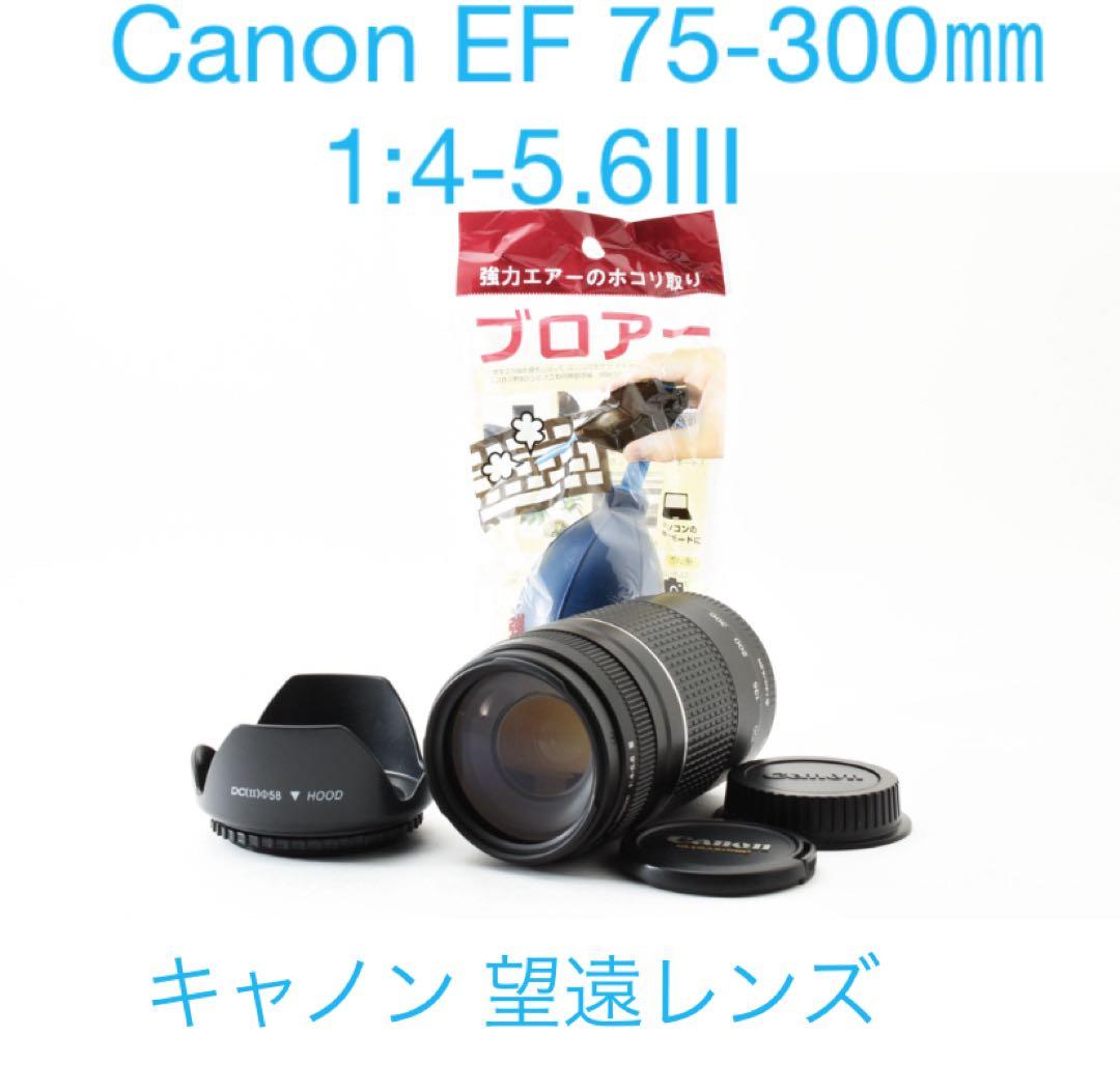 Canon EF 75-300㎜ 1:4-5.6Ⅲズームレンズ 超望遠 300㎜
