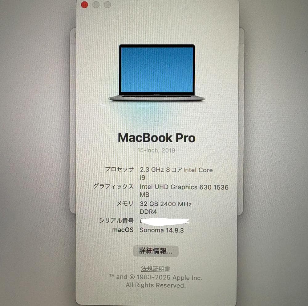 MacBook Pro15㌅ 2019 i9 32GB 1TB充放電113回美品