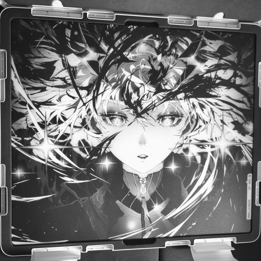 wallhack sora SP-005 (最終値下げ)