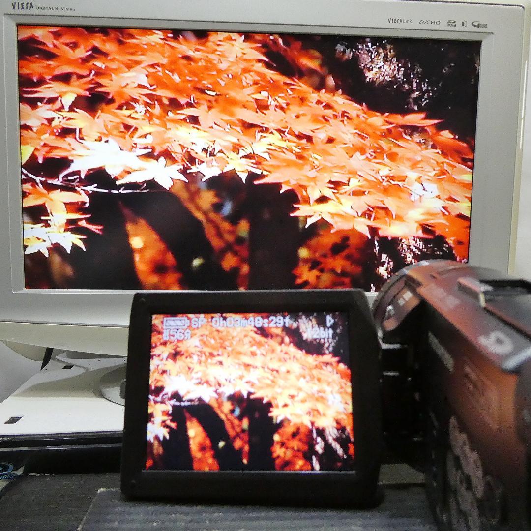 美品・動作良好 パナソニックNV-GS100 MiniDVビデオ　DVD化に最適