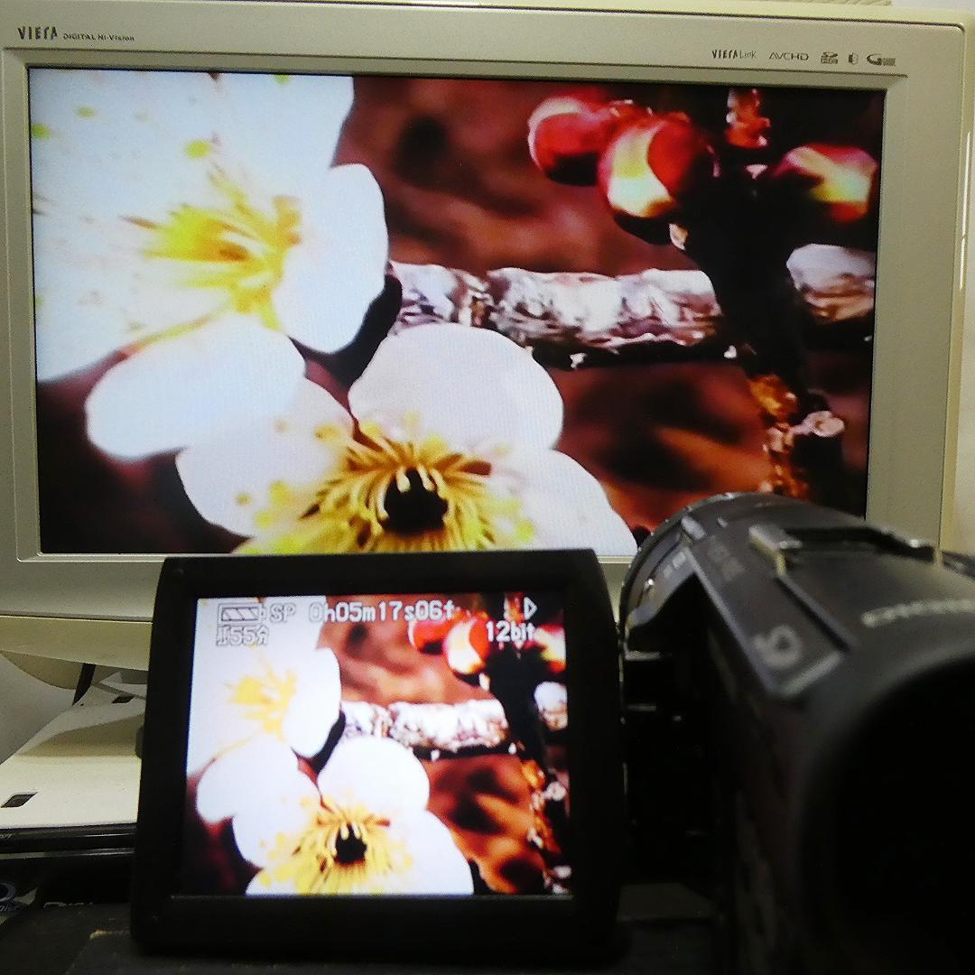 美品・動作良好 パナソニックNV-GS100 MiniDVビデオ　DVD化に最適