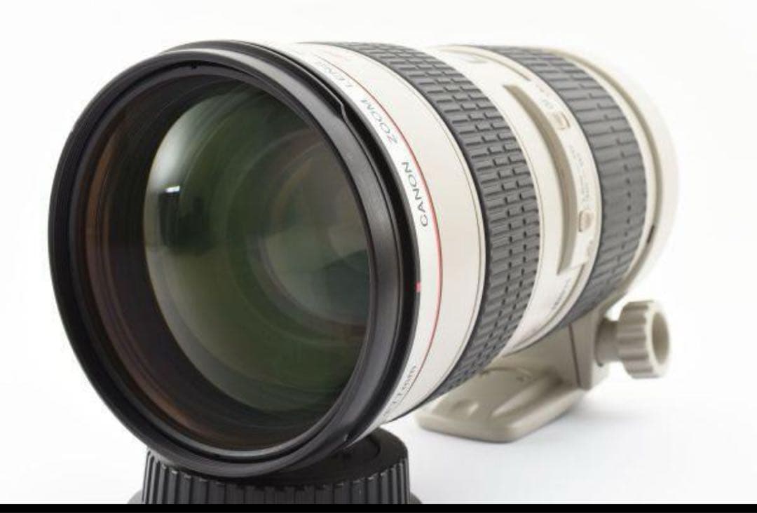 Canon EF 70-200mm f/2.8 ナナニッパ