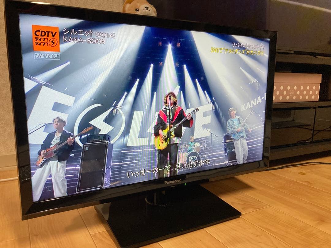 ★状態良好★パナソニックTH-24H300 24V型 ハイビジョン 液晶テレビ