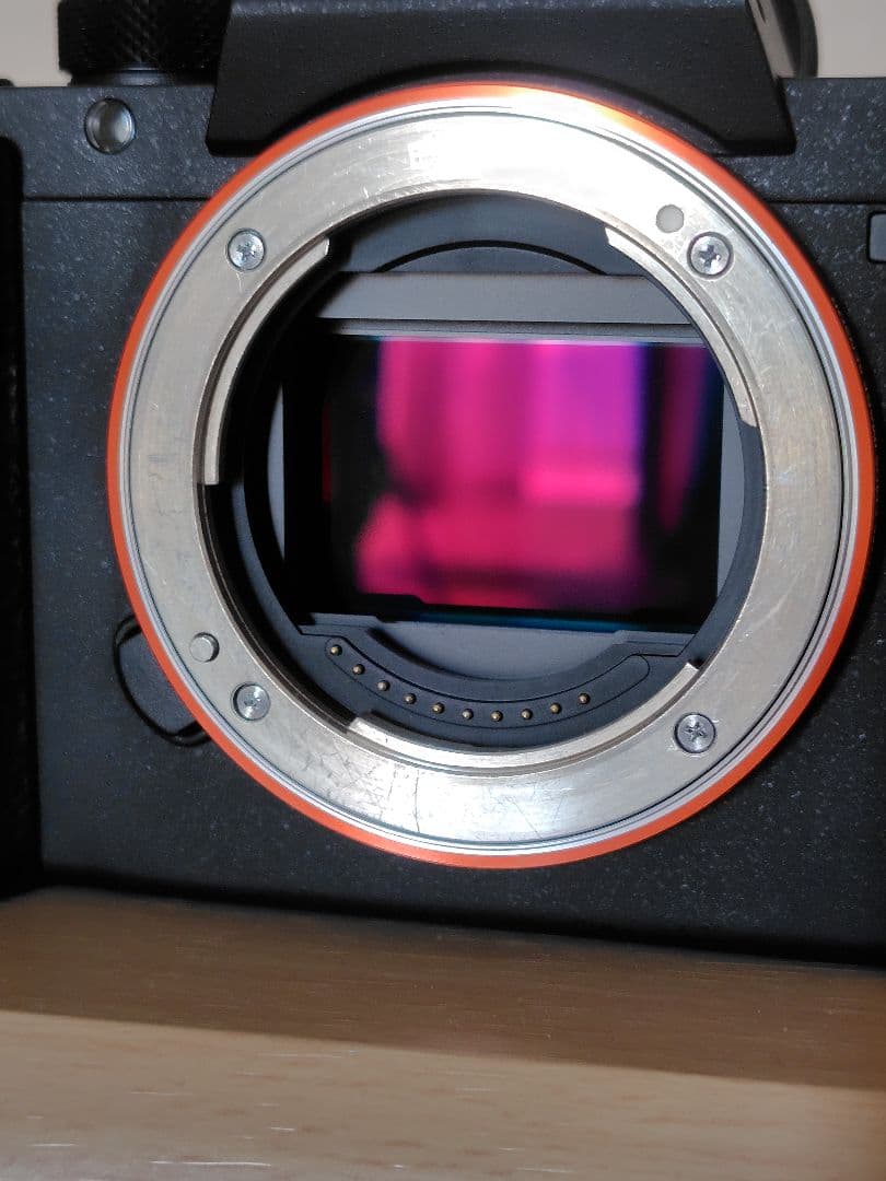 ソニーSONY α7RⅡ ボディ