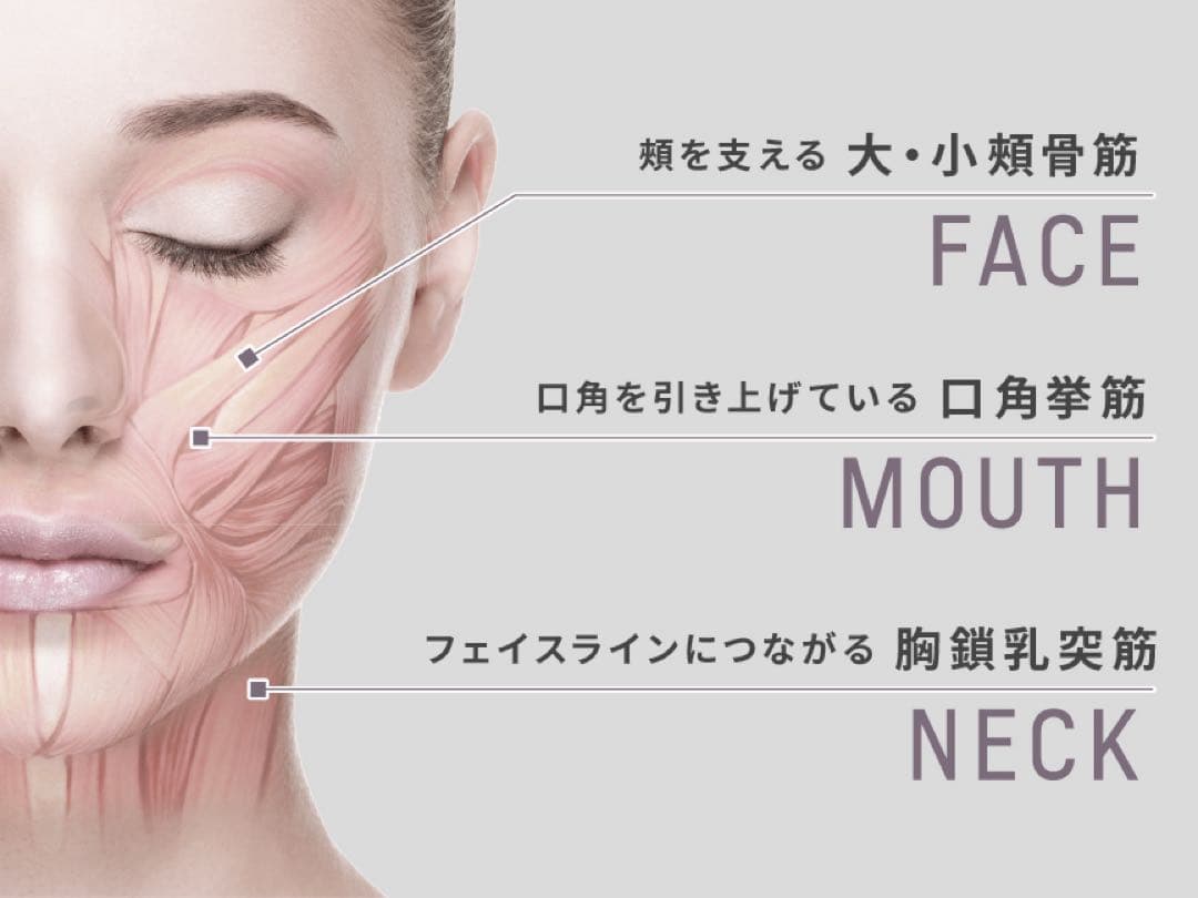 保証期間残り11ヶ月❗️ パナソニック バイタリフトかっさ EH-SP85-K