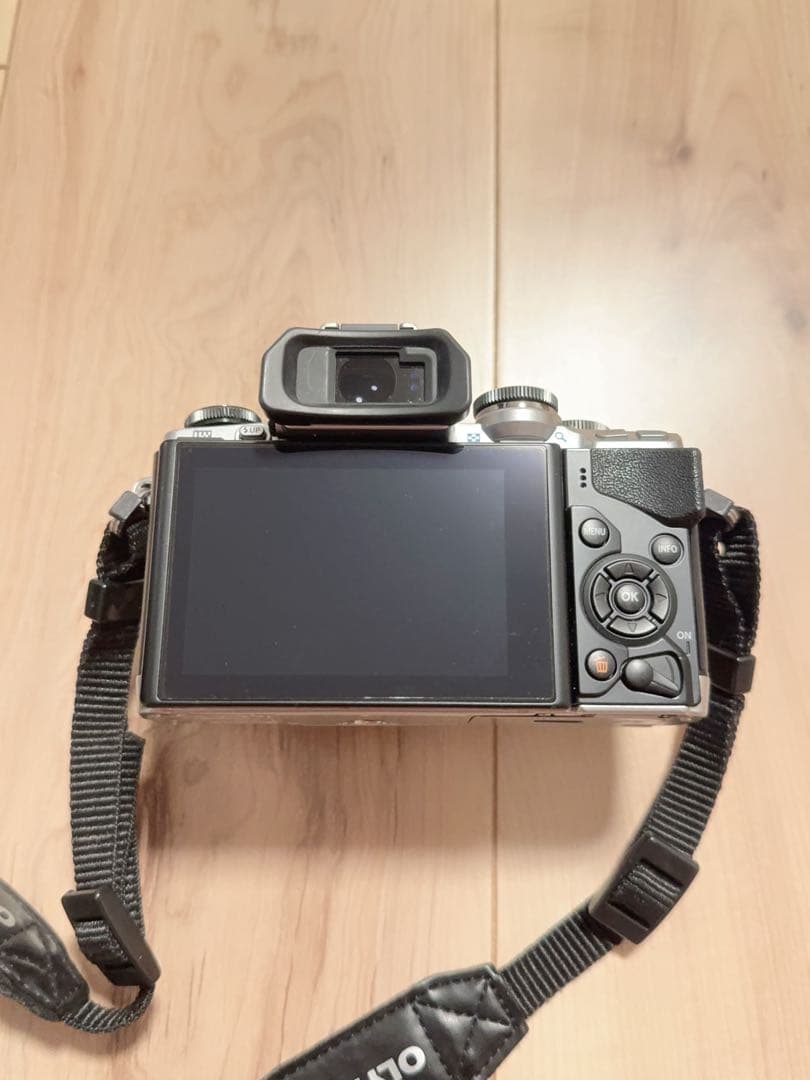 テイ【おまけつき‼️】OLYMPUS OM-D EM10