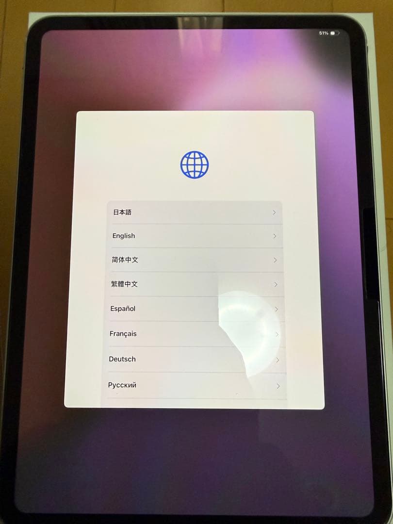 iPad pro MVV93/JA wraplus スキンシール付