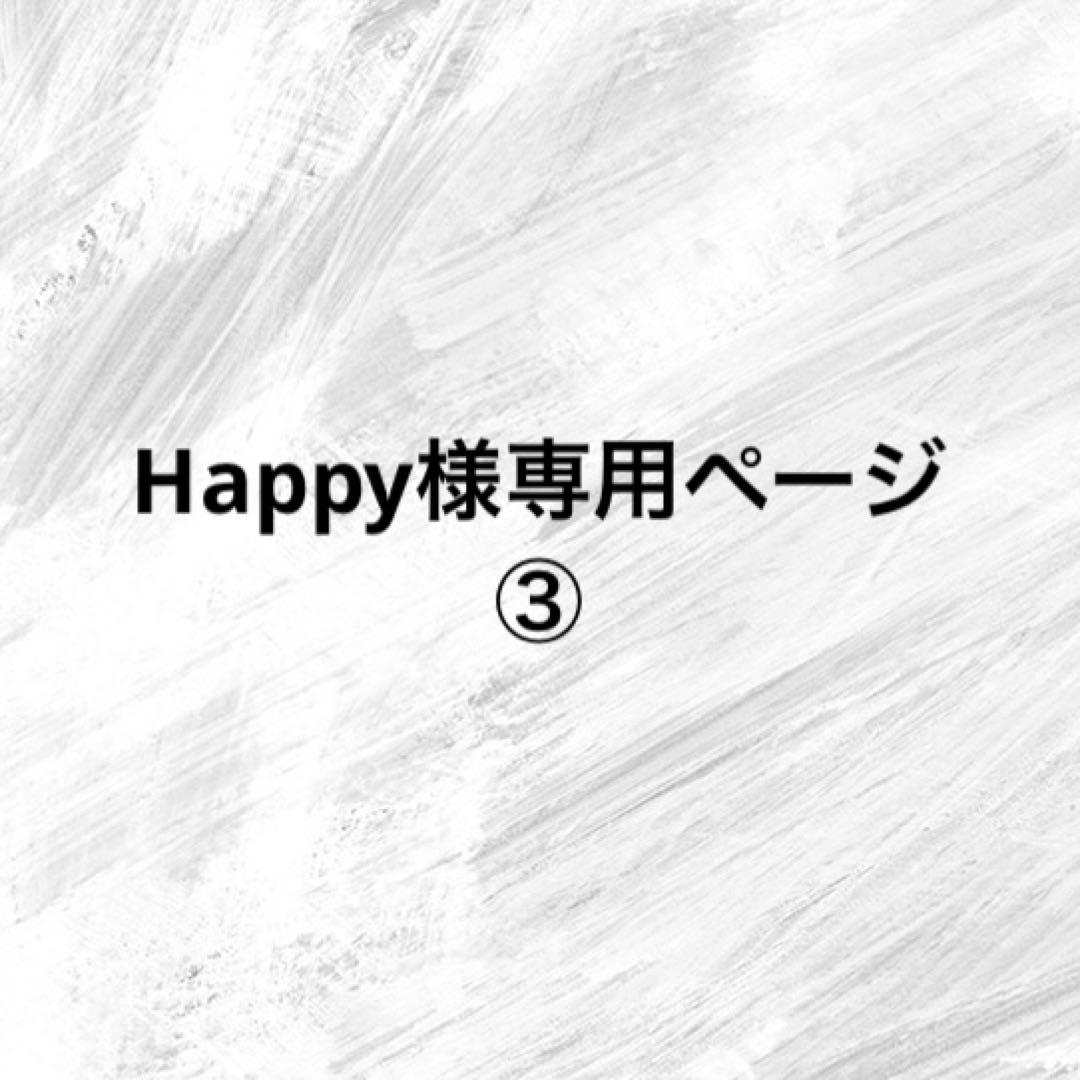 Happyページ③