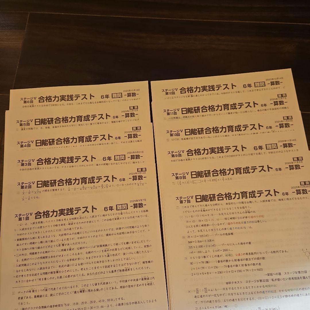 6年 後期 育成テスト 実践テスト 難関 2025年度 日能研