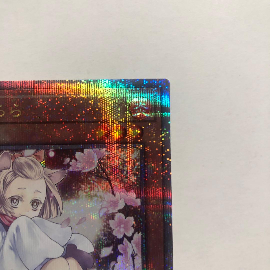 遊戯王　灰流うらら 25th クオシク 絵違い