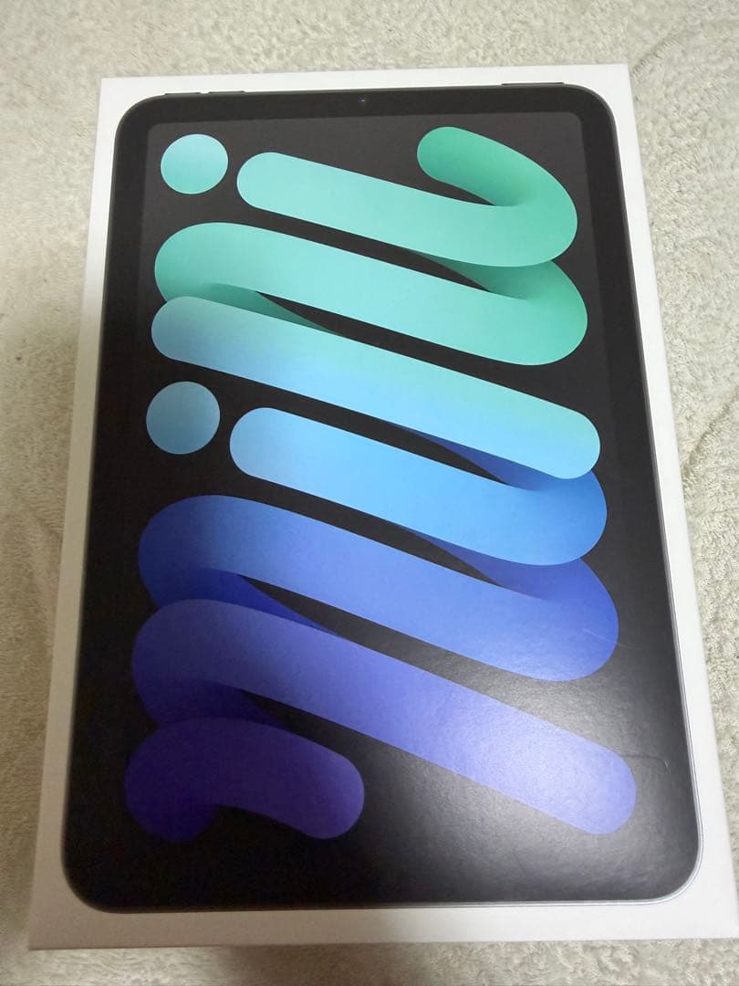 iPad mini Wi-Fi ＋ Cellularモデル 256GB